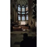 2025-46 Ausflug Regensburg.jpg